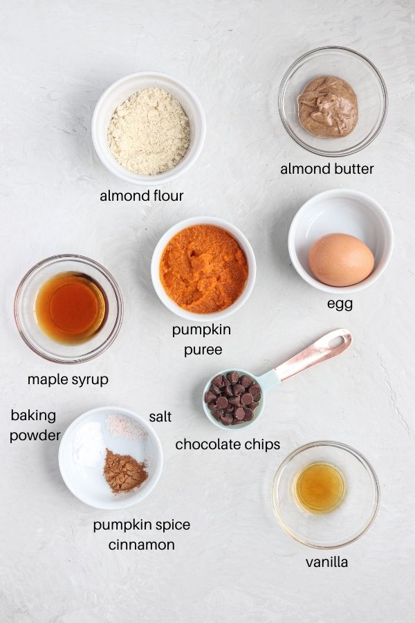 pumpkin mug cake ingredients laid out on a gray surface in round dishes with labels