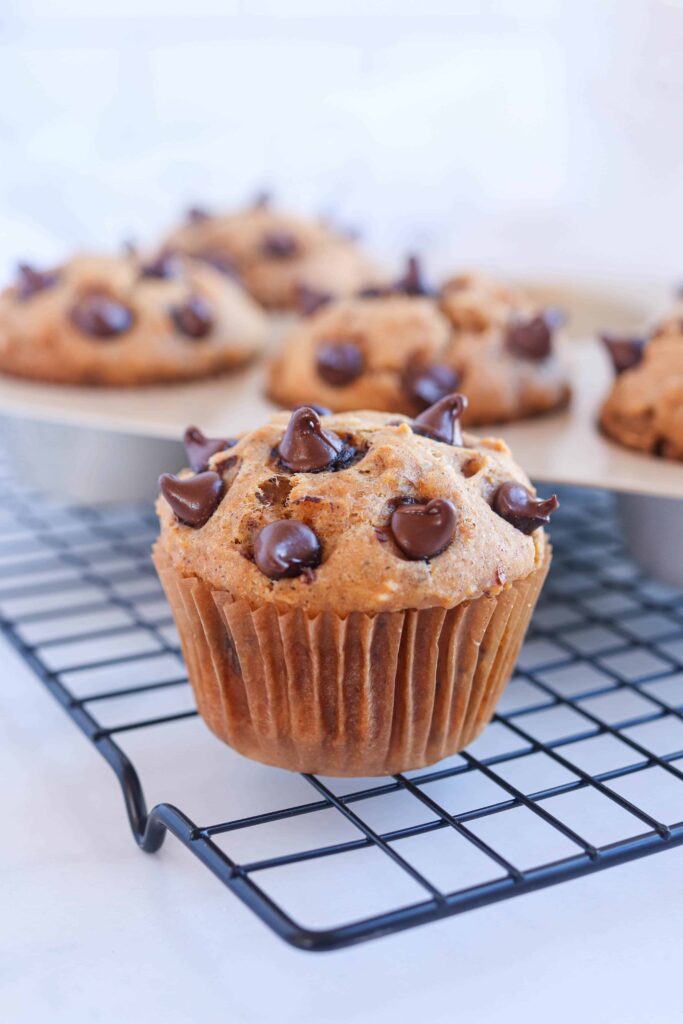 sweet potato muffin with chocolate chips on a black cooling rack.