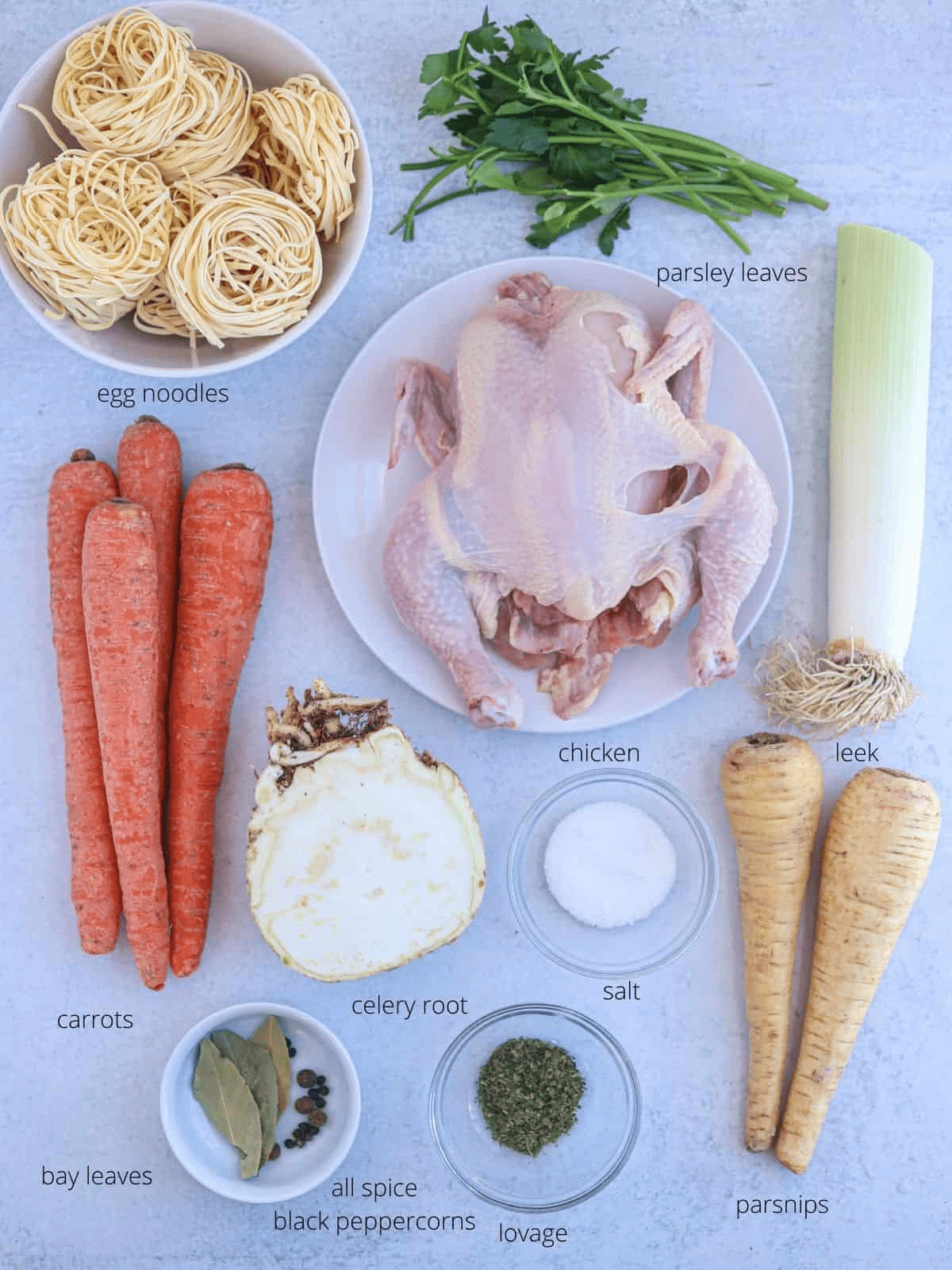Polish chicken noodle soup ingredients on light gray surface with captions.