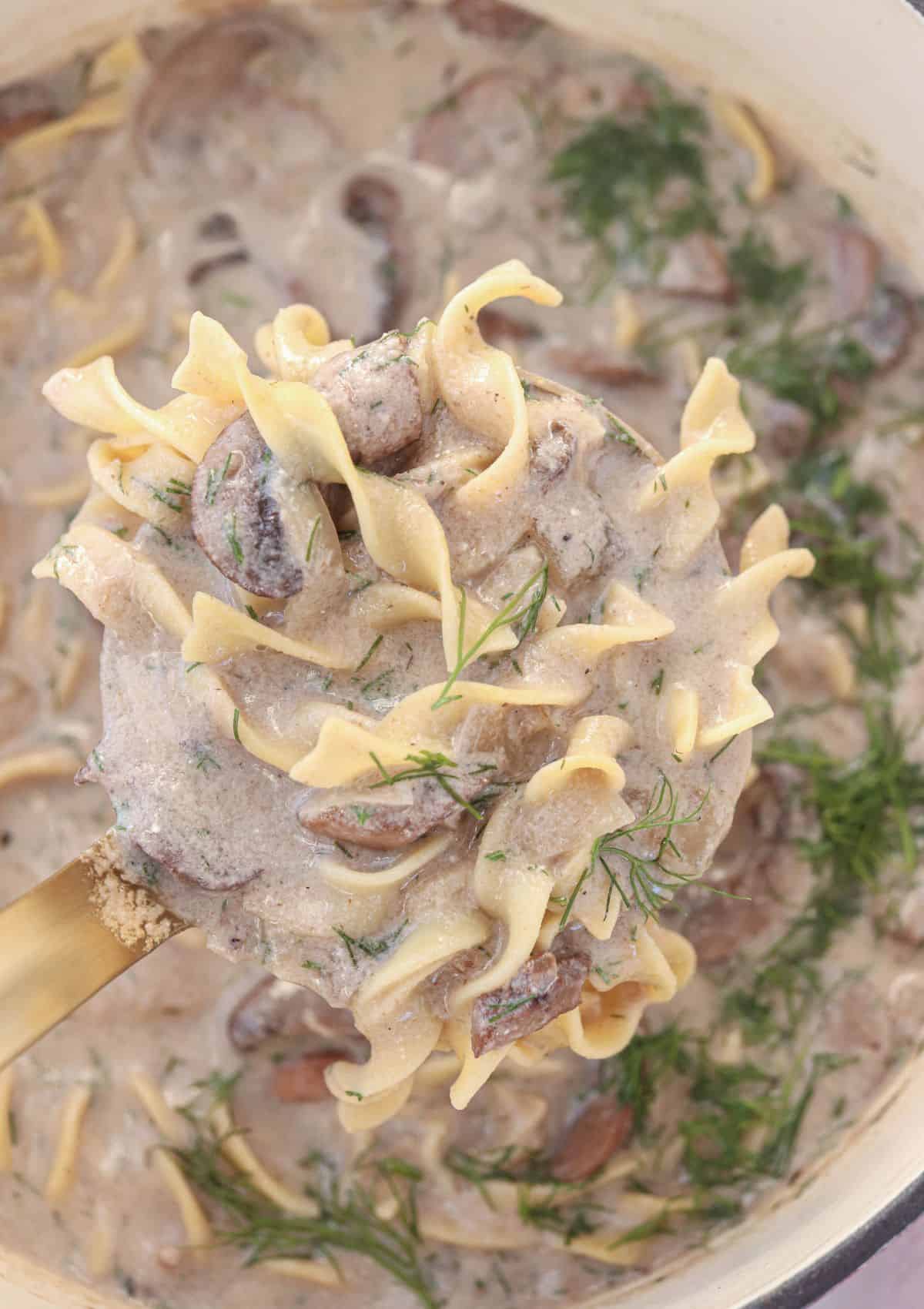 mushroom soup with noodles and fresh dill, close up on a ladle over a Dutch oven full of soup.
