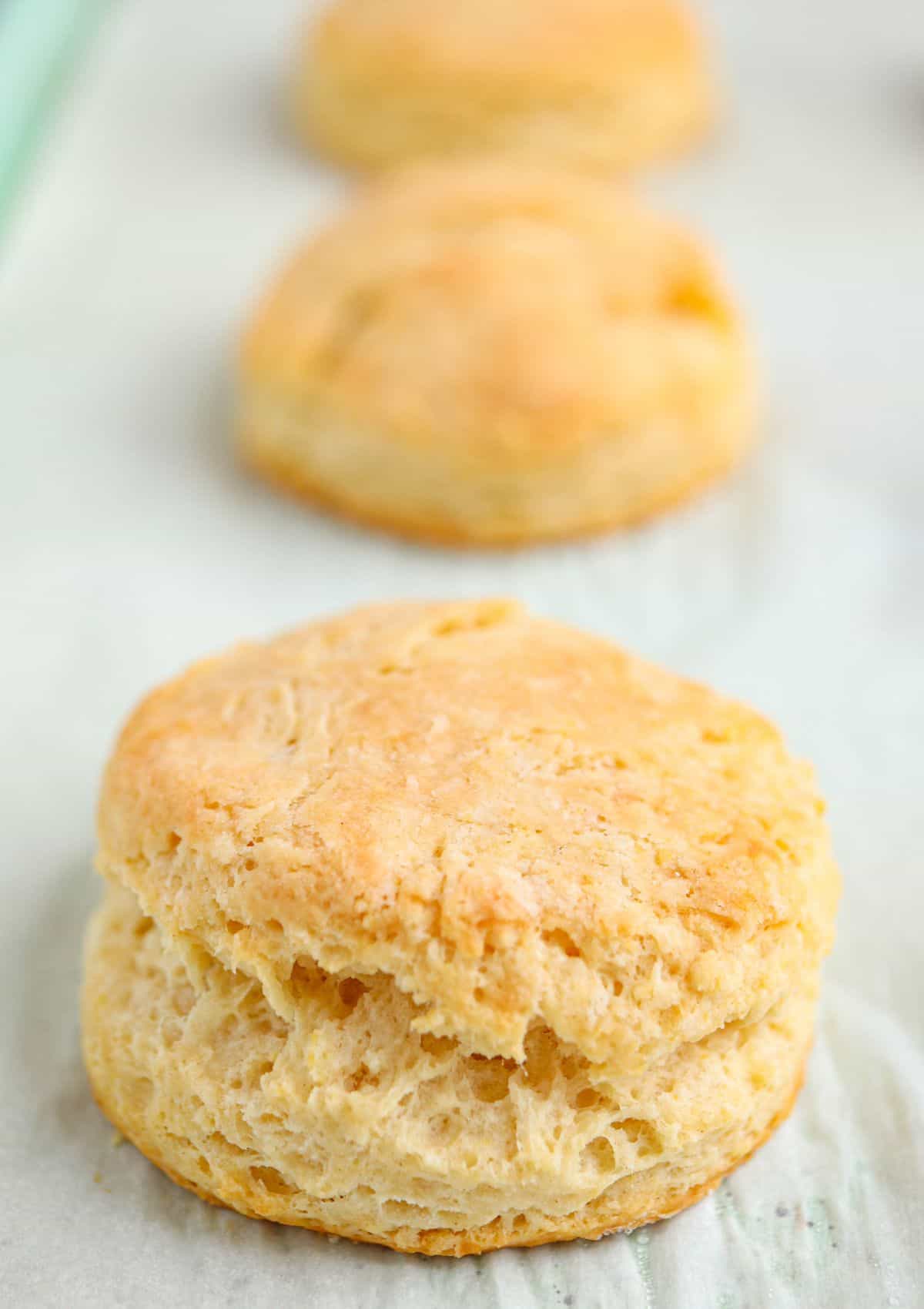a close up of a freshly baked biscuit.