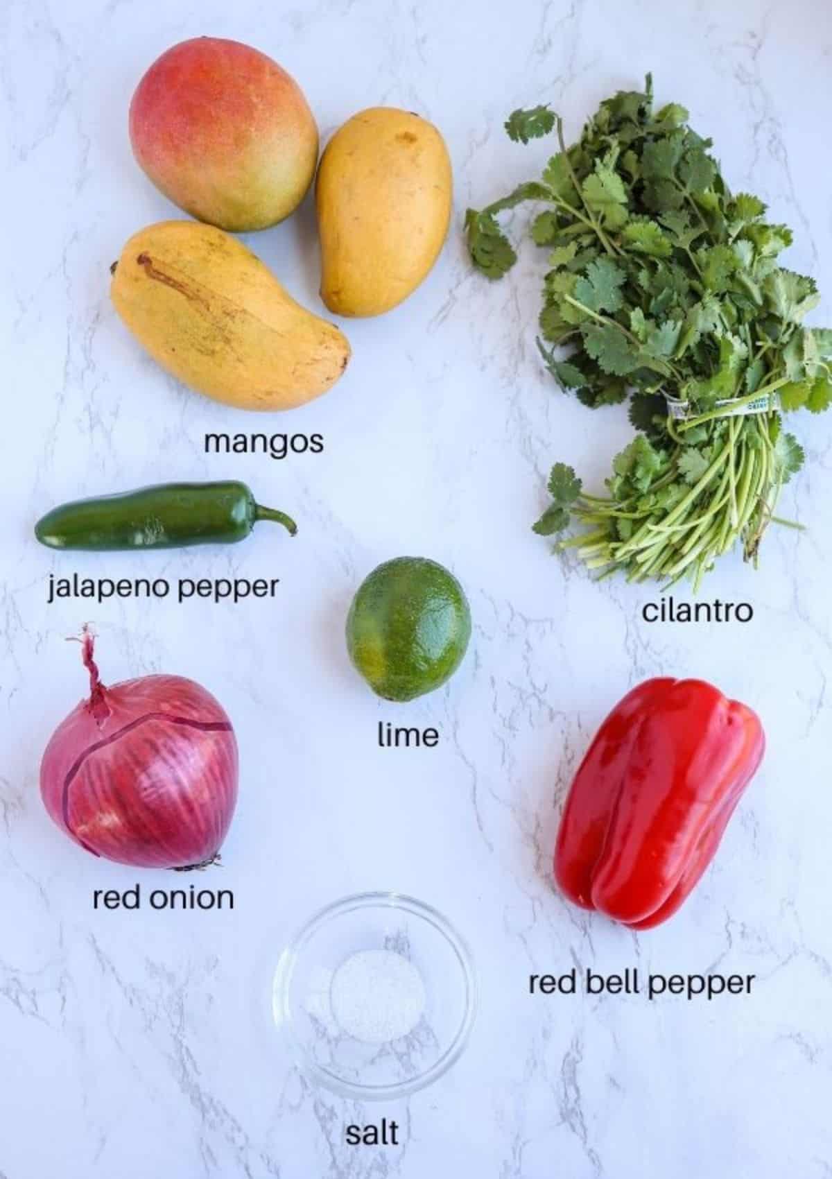 ingredients for making mango pico de gallo on white marble surface with captions.