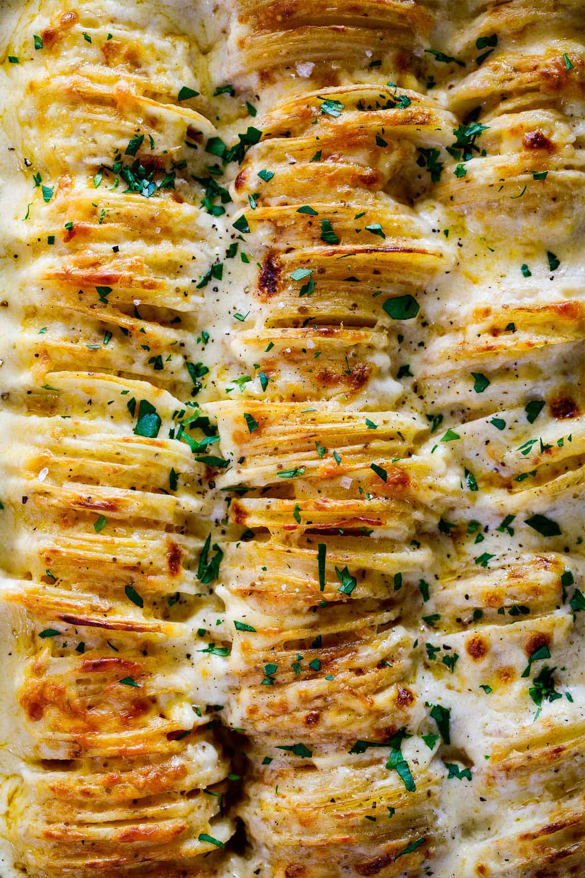 cheesy scalloped potatoes.