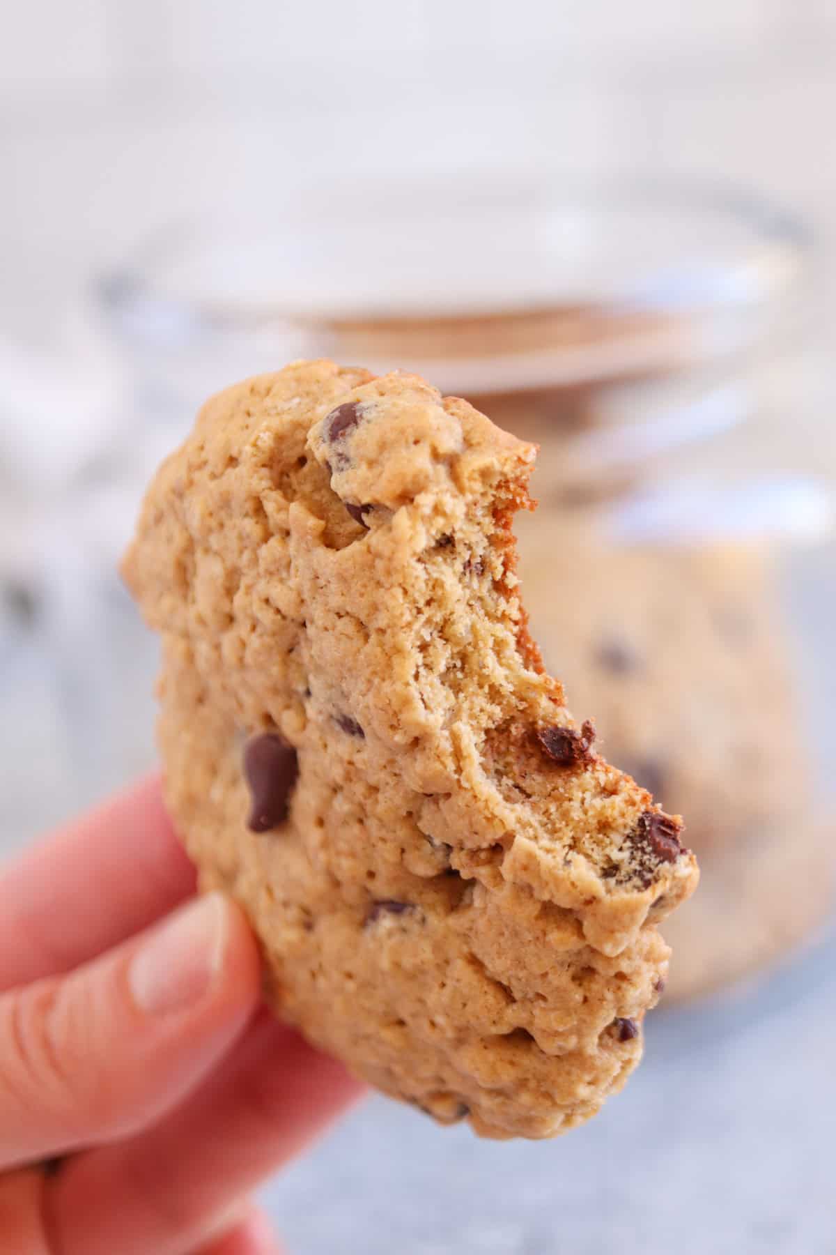 A hand holds a chocolate chip cookie with a bite missing, tempting the senses. In the background, a clear glass container reveals an array of baked delights. The spotlight remains on the delectable cookie in the foreground.