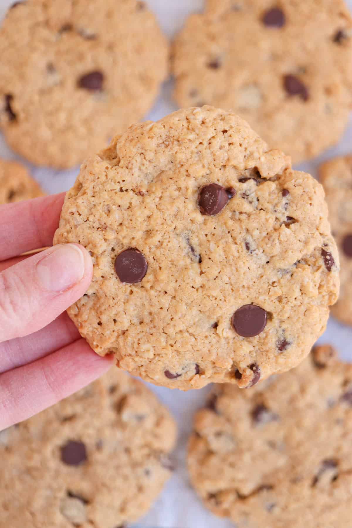 A hand holding a large oatmeal chocolate chip cookie above a surface covered with similar cookies. The cookie is round, with visible chocolate chips and hearty oatmeal pieces.