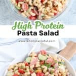 Two bowls of pasta salad with cucumbers, cherry tomatoes, bell peppers, olives, pasta, and slices of salami, garnished with herbs. Text reads, High Protein Pasta Salad and www.whollytasteful.com.