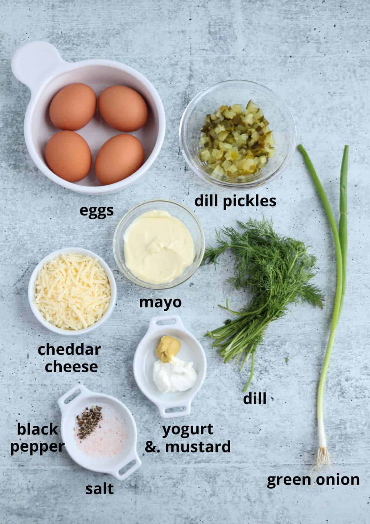 A flat lay of ingredients on a gray surface, including eggs, chopped dill pickles, mayo, shredded cheddar cheese, black pepper, salt, yogurt & mustard, fresh dill, and a green onion, each labeled.