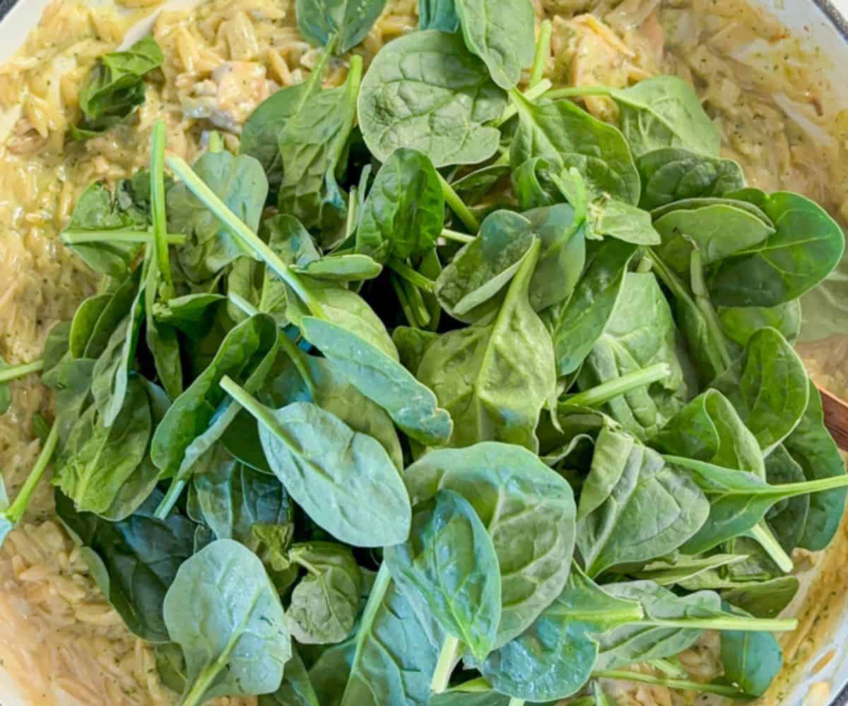 A close-up of fresh spinach leaves piled on top of a creamy orzo pasta dish with pesto chicken parmesan, ready to be mixed together.